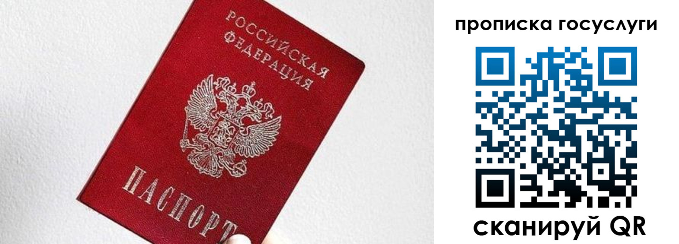 прописка законно в Новоузенске